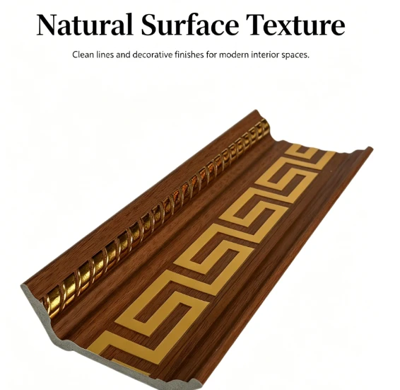 202607031005349239 202607031005349239